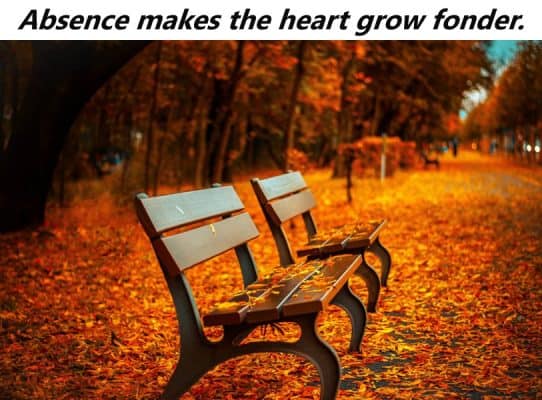 Two empty park benches on a path covered in autumn leaves, captioned 'Absence makes the heart grow fonder'