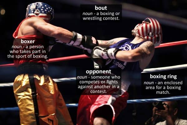boxing vocabulary