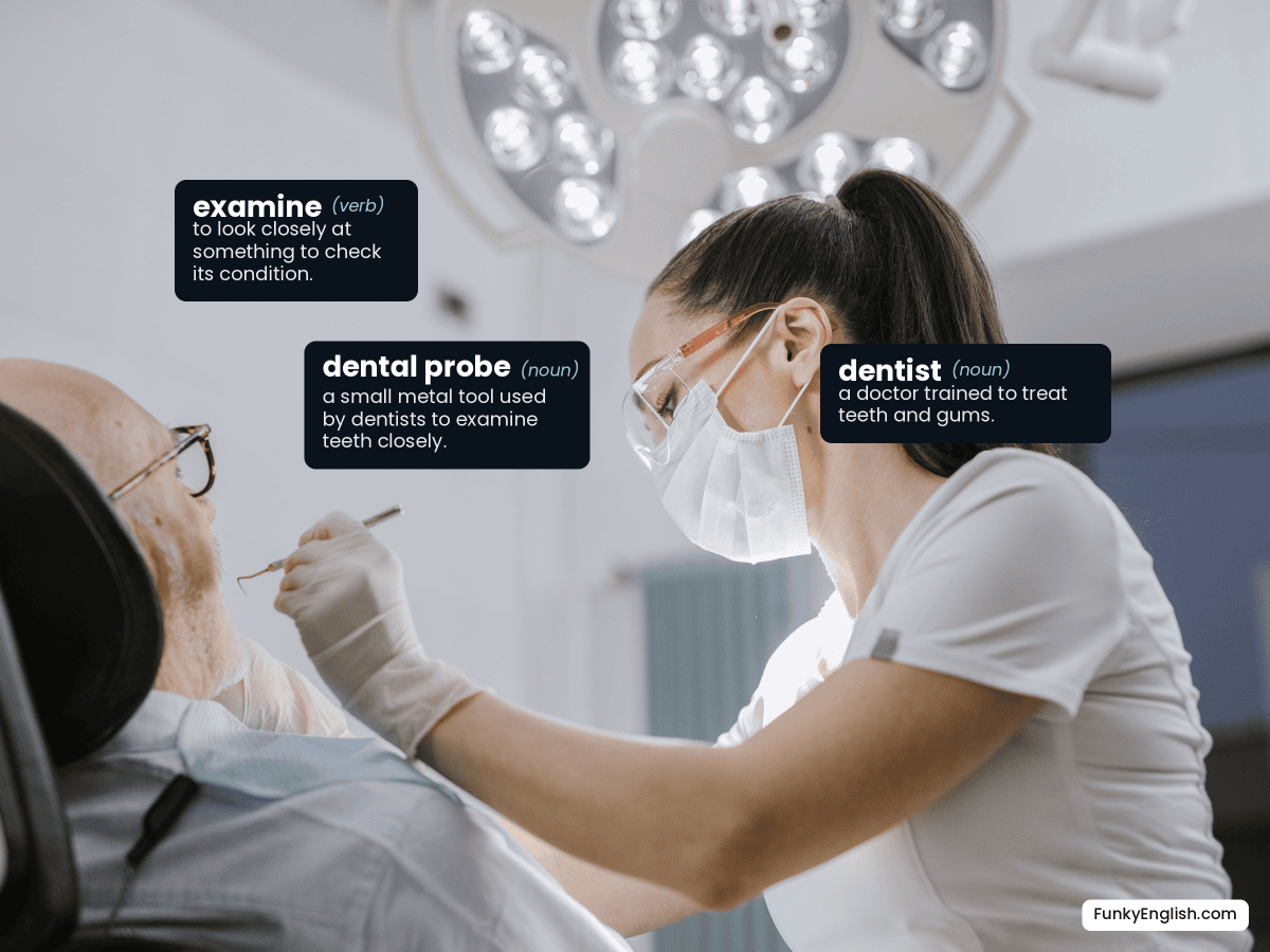 Photo of a dentist examining a patient's teeth with a dental probe, labelled with the English words dentist, dental probe, and examine