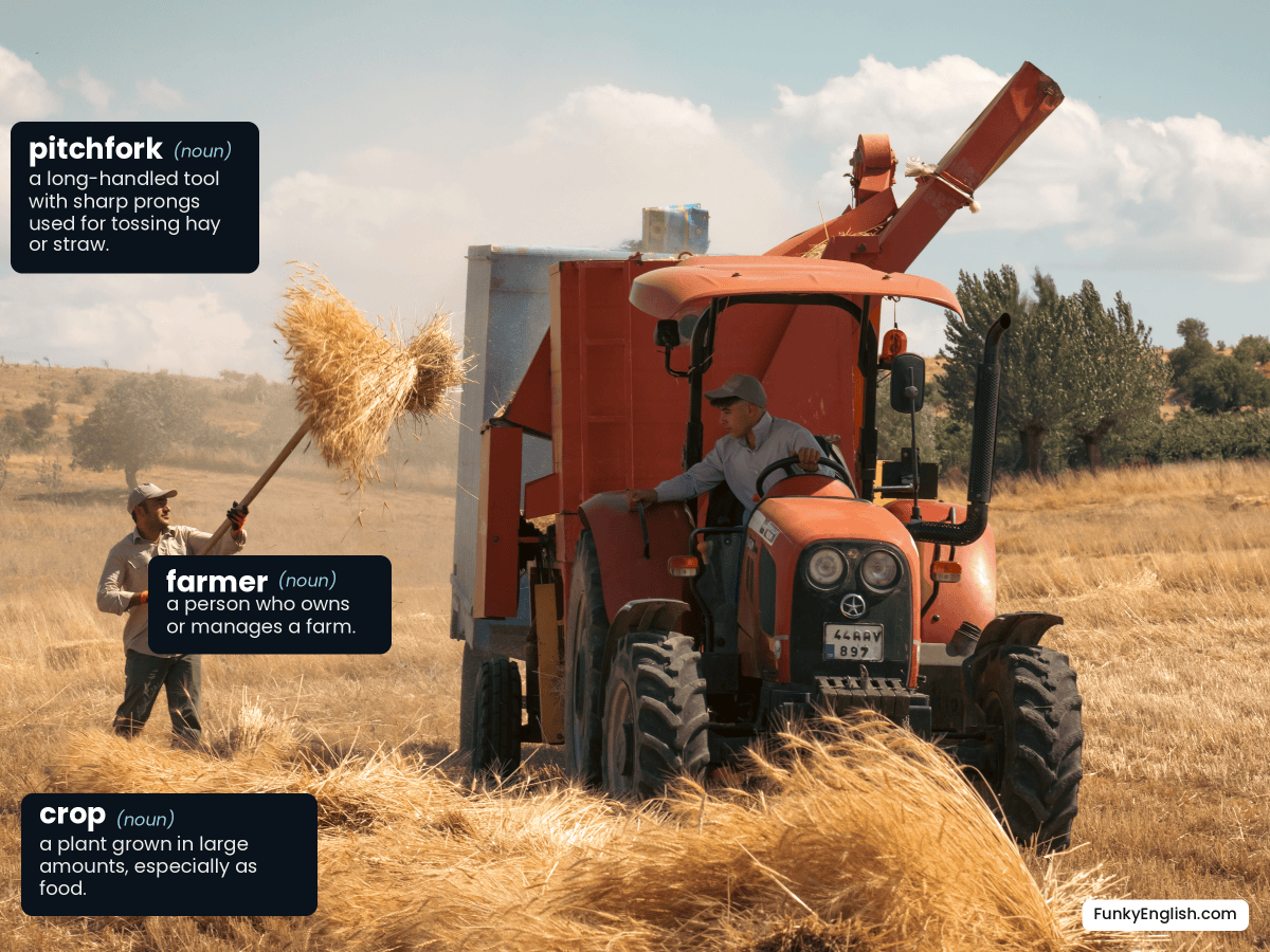 Photo of a farmer tossing wheat with a pitchfork during harvest, labelled with the English words farmer, pitchfork, and crop