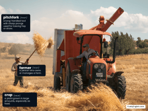 Farmer Vocabulary