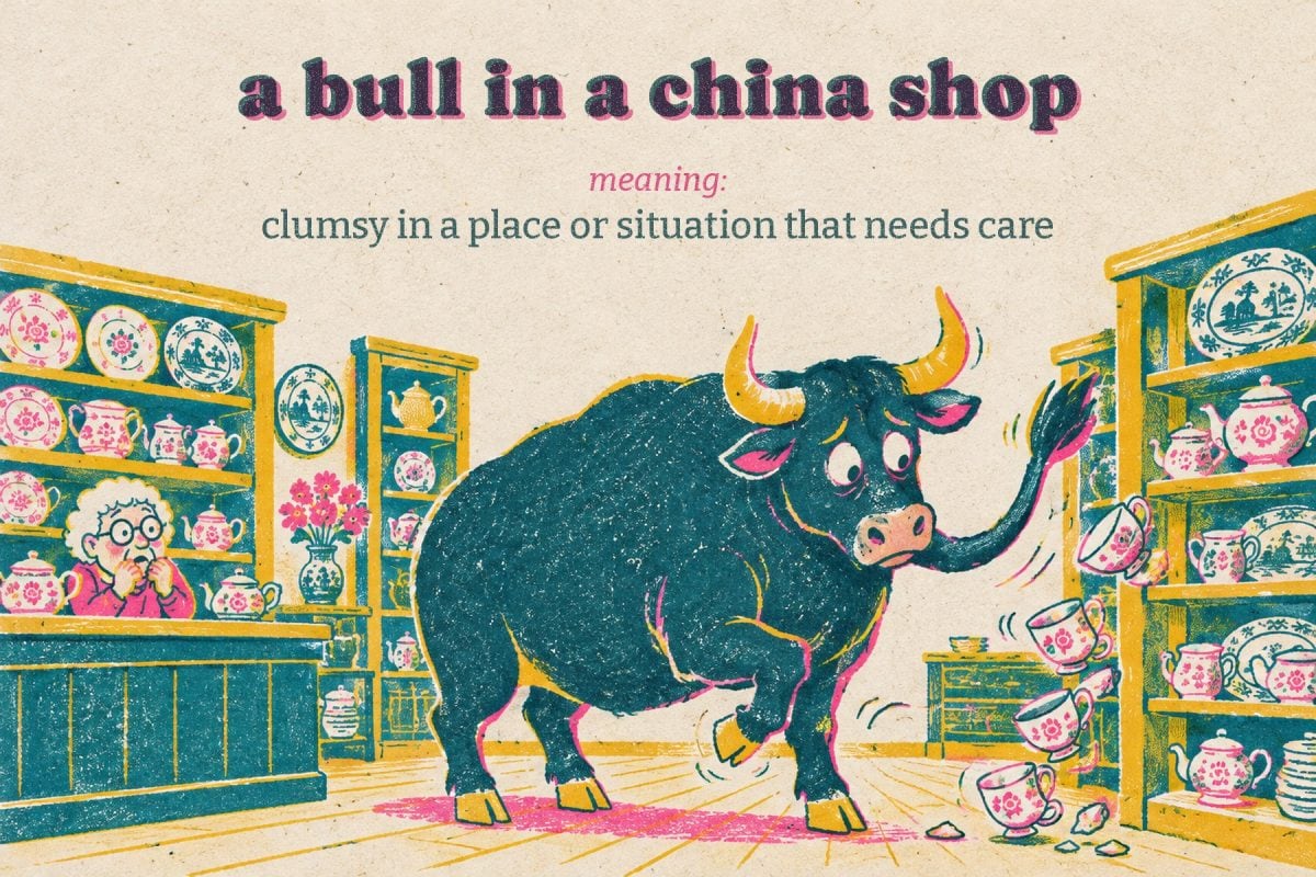 A bull in a china shop: a worried bull knocks teacups off a shelf in a British china shop while the shopkeeper watches in horror. Meaning: clumsy in a place or situation that needs care.