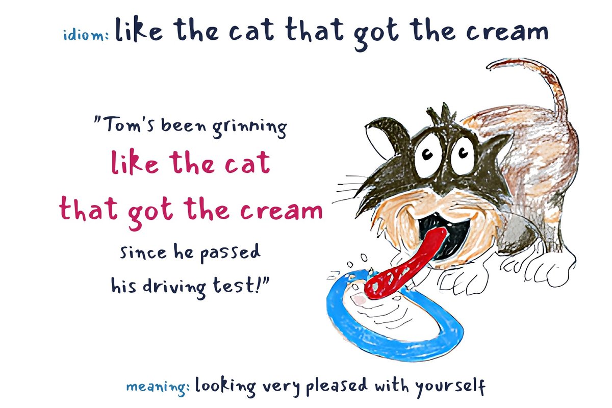 Cartoon of a grinning cat licking cream from a bowl, with the idiom like the cat that got the cream, its meaning and an example sentence