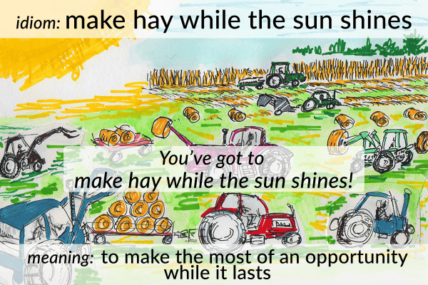 make hay while the sun shines idiom