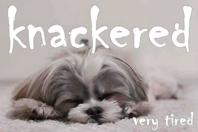 British slang: knackered