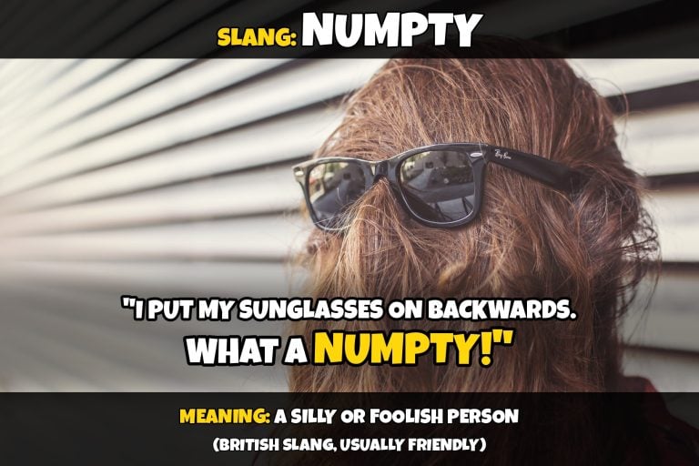 British slang: numpty